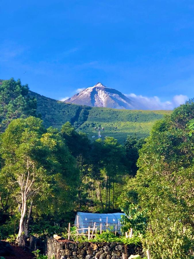 Quinta Pereirinha Farm - A Private 3 Bedroom Vacation Home, Close To Hiking W Ocean Views - Pico Island, Azores São Roque do Pico Εξωτερικό φωτογραφία
