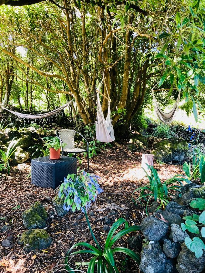 Quinta Pereirinha Farm - A Private 3 Bedroom Vacation Home, Close To Hiking W Ocean Views - Pico Island, Azores São Roque do Pico Εξωτερικό φωτογραφία