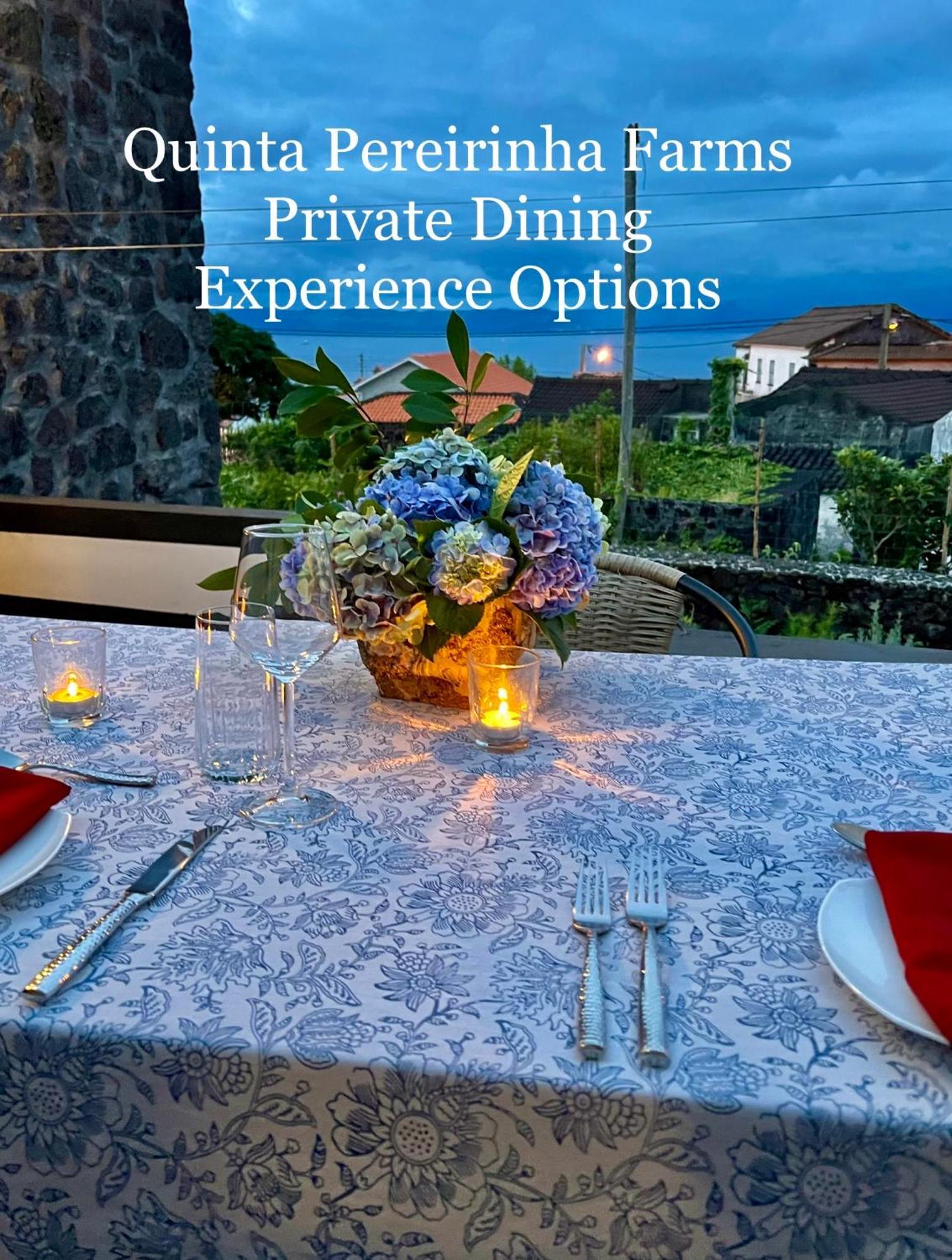 Quinta Pereirinha Farm - A Private 3 Bedroom Vacation Home, Close To Hiking W Ocean Views - Pico Island, Azores São Roque do Pico Εξωτερικό φωτογραφία